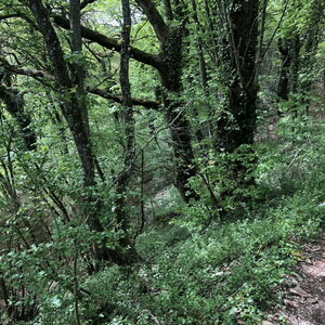 Arko, W38 - Hieres-sur-Amby - Site arch&eacute;ologique de Larina 56