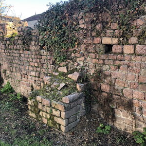 Arko, W42 - Feurs - Forum gallo romain 3