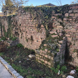 Arko, W42 - Feurs - Forum gallo romain 4