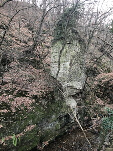 Arko, W42 - Saint Chamond - Aqueduc du Gier - Pont du Langonand 6