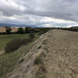 Arko, W63 - Le Cendre - Oppidum de Gondole 2