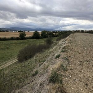 Arko, W63 - Le Cendre - Oppidum de Gondole 3