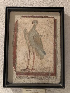 Arko, 69 - Anse - Mus&eacute;e du Ch&acirc;teau des Tours 7