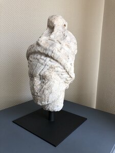 Arko, 69 - Curis au Mont d&rsquo;Or - Tete de Minerve 1