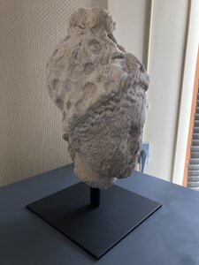 Arko, 69 - Curis au Mont d&rsquo;Or - Tete de Minerve 2