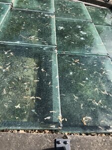 Arko, 69 - Dardilly - Parc de l&rsquo;Aqueduc - Aqueduc de la Br&eacute;venne 6