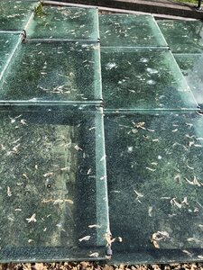 Arko, 69 - Dardilly - Parc de l&rsquo;Aqueduc - Aqueduc de la Br&eacute;venne 7