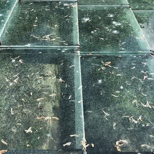 Arko, 69 - Dardilly - Parc de l&rsquo;Aqueduc - Aqueduc de la Br&eacute;venne 8