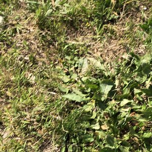 Arko, 69 - Mornant - Aqueduc du Gier 3