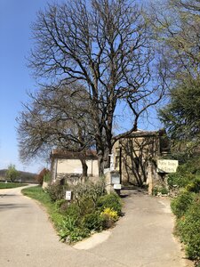 Arko, 69 - Simandres - Autel &agrave; Mercure 1