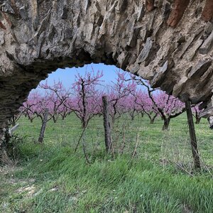 Arko, 69 - Soucieu en Jarrest - Aqueduc du Gier 16