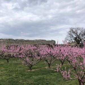 Arko, 69 - Soucieu en Jarrest - Aqueduc du Gier 49