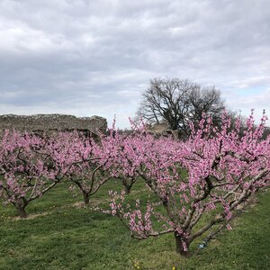 Arko, 69 - Soucieu en Jarrest - Aqueduc du Gier 50