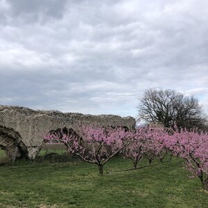 Arko, 69 - Soucieu en Jarrest - Aqueduc du Gier 51