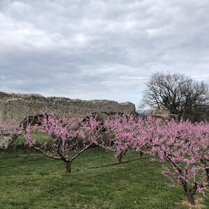 Arko, 69 - Soucieu en Jarrest - Aqueduc du Gier 52