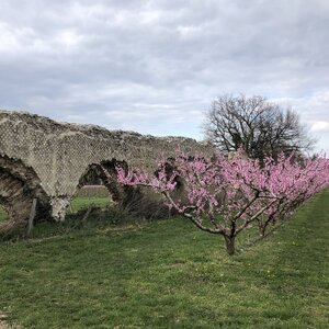 Arko, 69 - Soucieu en Jarrest - Aqueduc du Gier 53