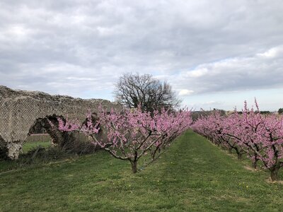 Arko, 69 - Soucieu en Jarrest - Aqueduc du Gier 54