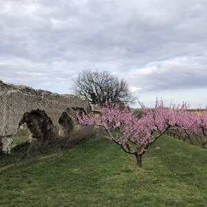 Arko, 69 - Soucieu en Jarrest - Aqueduc du Gier 57