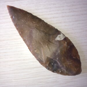 Arko, 71 - Solutr&eacute; - Feuille de Laurier