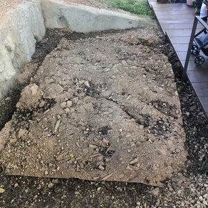 Arko, 71 - Solutr&eacute; - Jardin arch&eacute;ologique 2