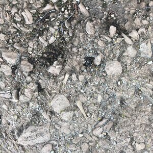 Arko, 71 - Solutr&eacute; - Jardin arch&eacute;ologique 3