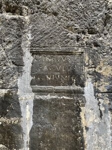 Arko, Photo 7-2-21 15 55 02