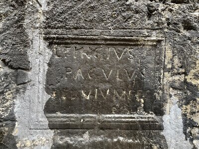 Arko, Photo 7-2-21 15 55 08