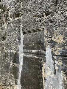 Arko, Photo 7-2-21 15 55 24