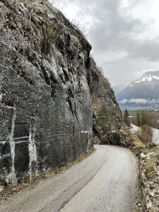 Arko, Photo 7-2-21 15 55 40