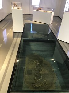 Arko, 83 - Tourves - Station d&rsquo;autoroute A8 - 6