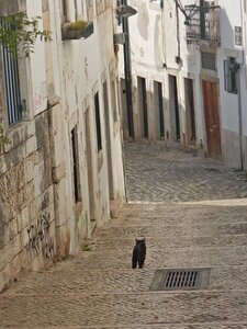 LISBONNE et SINTRA DU 16122021 AU 20122021, 0013