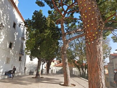 LISBONNE et SINTRA DU 16122021 AU 20122021, 0029
