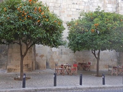 LISBONNE et SINTRA DU 16122021 AU 20122021, 0057
