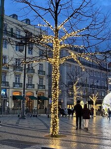 LISBONNE et SINTRA DU 16122021 AU 20122021, 0242