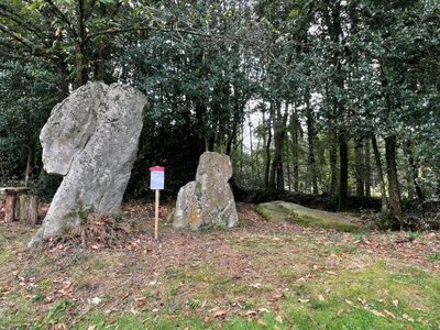 Arko, 49 - Echemir&eacute; - Pierre du Coq et de la Poule et polissoir