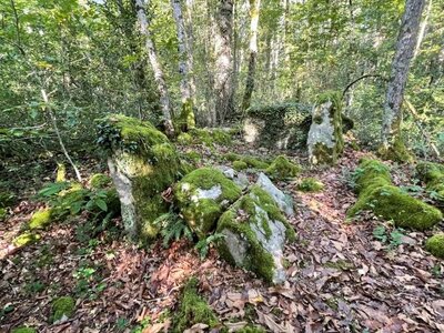 Arko, 53 - Sainte-Gemmes-le Robert - Dolmen des Pierres Jumelles