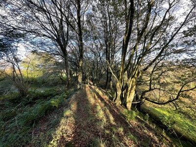 Arko, 50 - Urville Nacqueville - Hague Dike