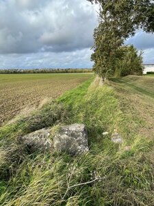 Arko, 14 - Louvigny - Menhir de la Pierre Couch&eacute;e