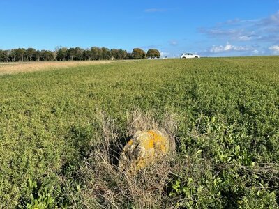 Arko, 14 - Reviers - Menhir dit Pierre Debout