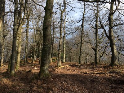 2022 - Rando Geissfels, IMG_0991