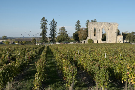 Fabien Magigue 2021, Montgolfiades de Saint-Emilion