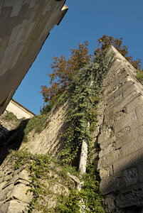 Fabien Magigue 2021, Saint-Emilion