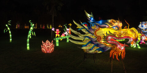 Fabien Magigue 2021, Les lumières légendaires au parc bordelais