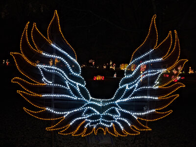 Fabien Magigue 2021, Les lumières légendaires au parc bordelais