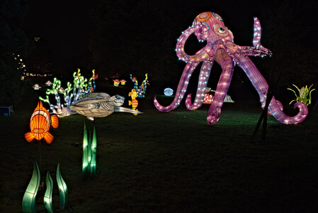 Fabien Magigue 2021, Les lumières légendaires au parc bordelais
