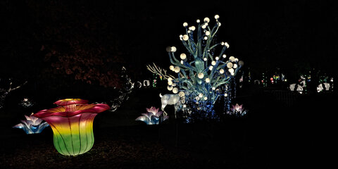 Fabien Magigue 2021, Les lumières légendaires au parc bordelais