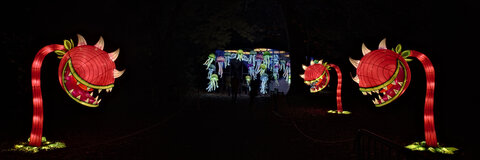 Fabien Magigue 2021, Les lumières légendaires au parc bordelais