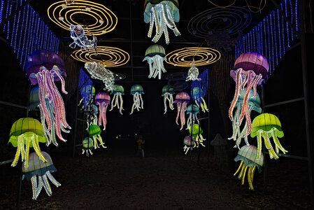 Fabien Magigue 2021, Les lumières légendaires au parc bordelais