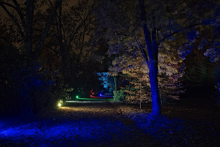 Fabien Magigue 2021, Les lumières légendaires au parc bordelais