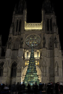Fabien Magigue 2021, Le sapin de verre, Bordeaux